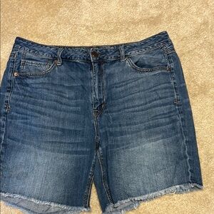American Eagle Outfitters Dark Blue Jean Shorts